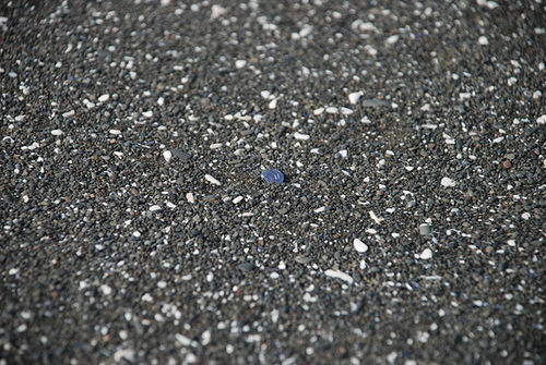 Road trip: Day 10