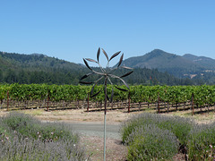 St. Francis Winery