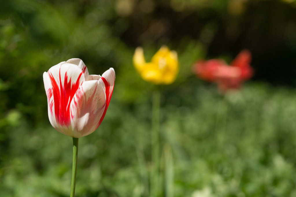 20130505-DSC00205.jpg