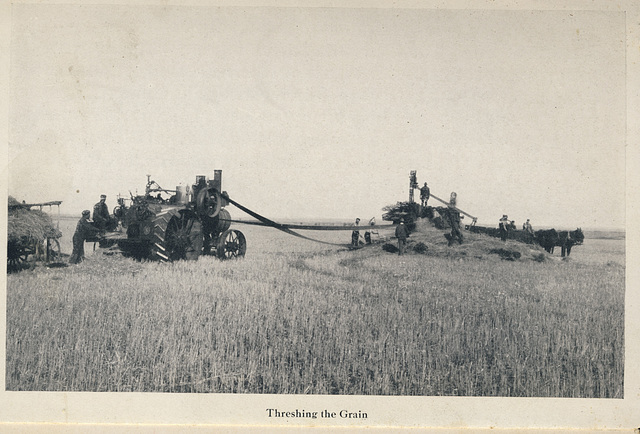 McElhinney - Outlook - Threshing the Grain