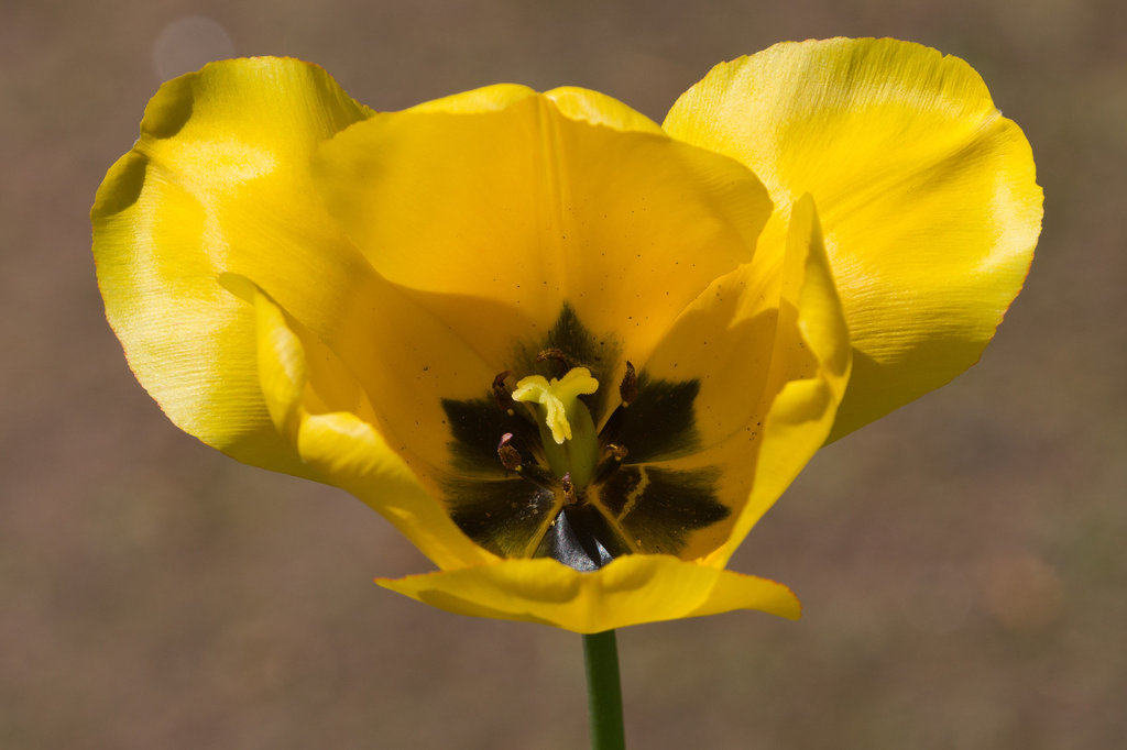 20130505-DSC00184.jpg