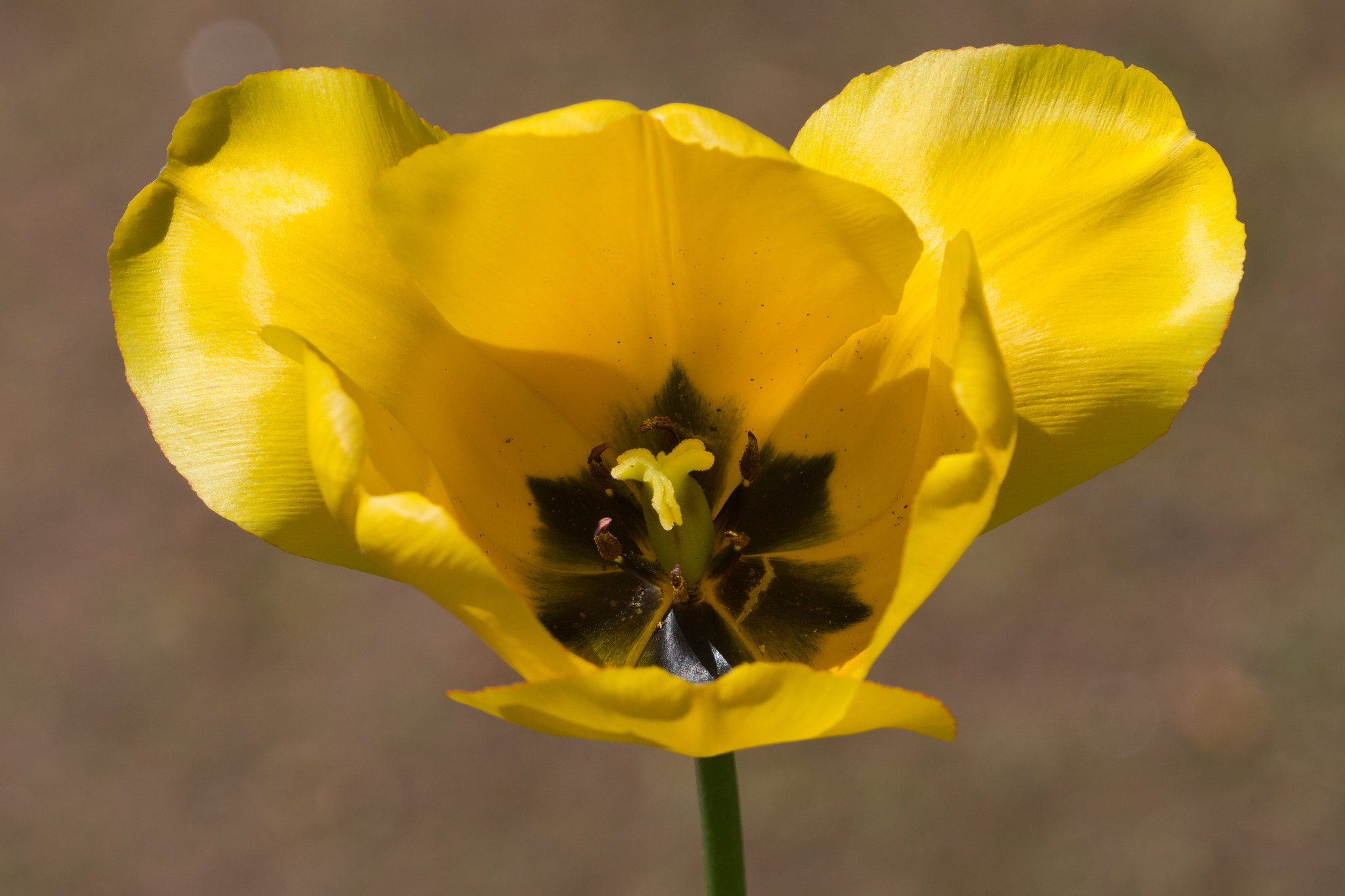 20130505-DSC00184.jpg