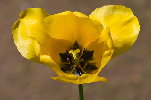 20130505-DSC00184.jpg