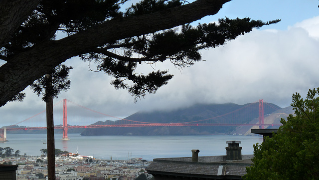 view from Sterling Park