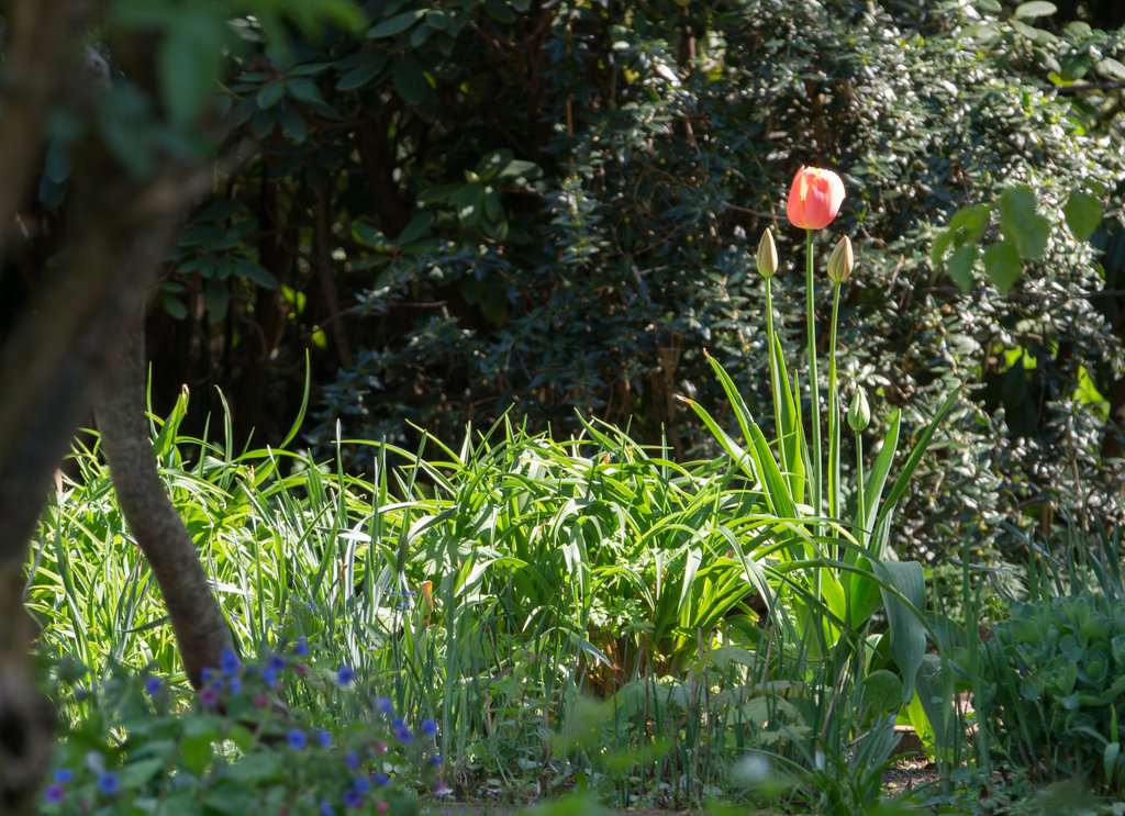 20130505-DSC00176.jpg
