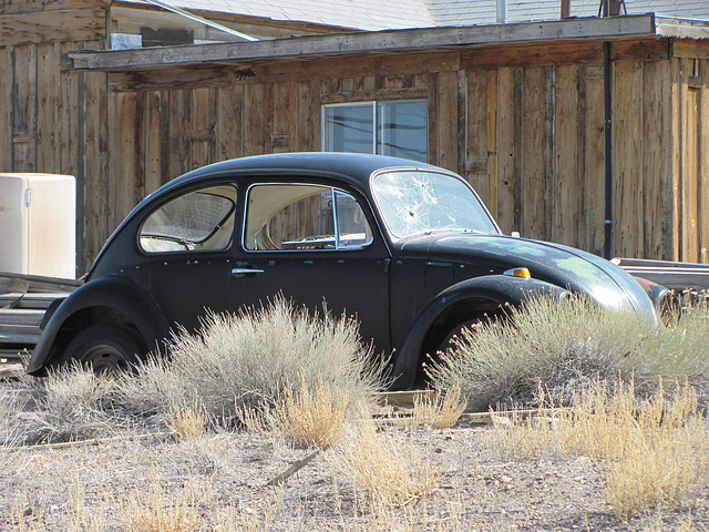 1969 Volkswagen Beetle