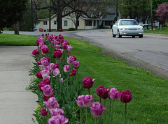 Side walk