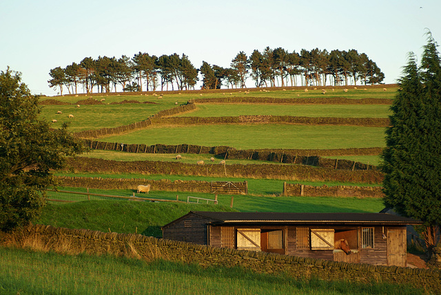 Stable view