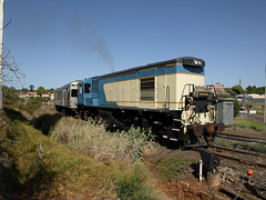 201309TmbaCarnivalRail 053