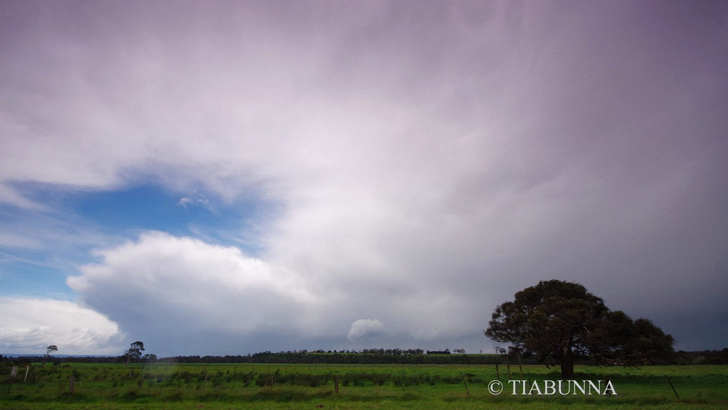 Big sky, small fence