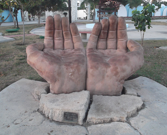 Mains de jardinier / Gardener's hands.