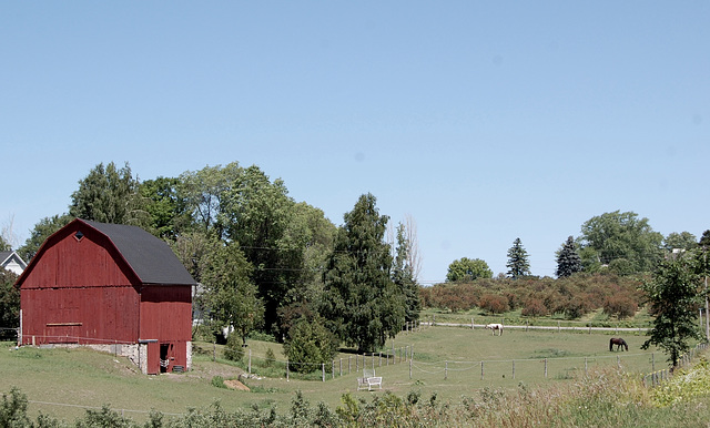 Pastoral