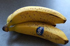 Back-lit Bananas