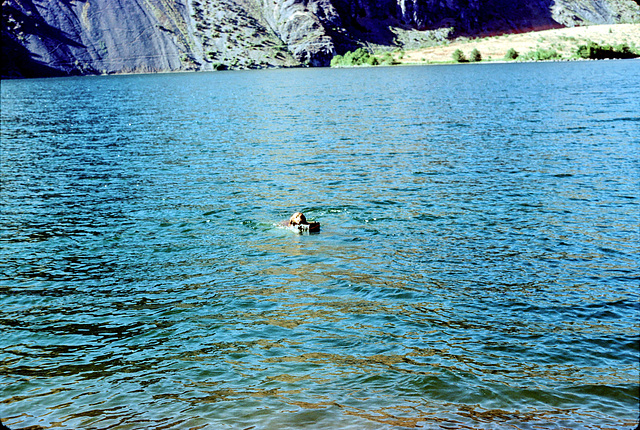 Sara swimming