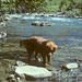 Sara in the creek