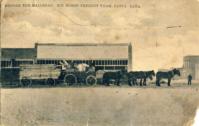 Before the Railroad. Six Horse Freight Team, Casta. Alta.