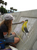 Big Blue Whale Bash, Redondo Beach