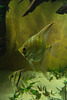 20130921-DSC02768.jpg