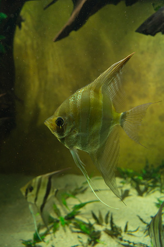 20130921-DSC02768.jpg