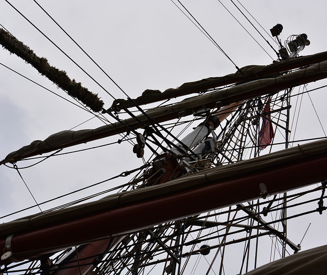 Ropes and rigging on the Tall Ship Stavros S Niarchos