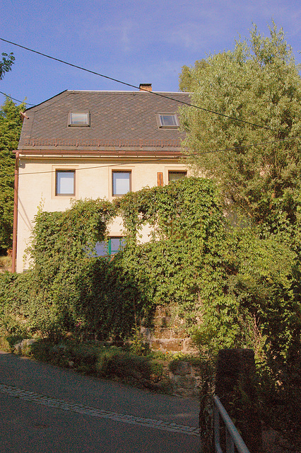 montdomo (Berghaus)