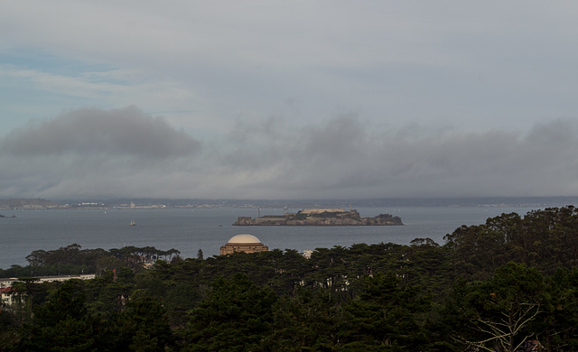 SF Presidio (1024)