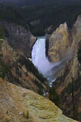 Lower Falls of the Yellowstone