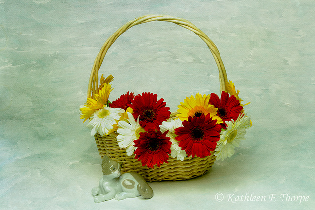 Gerbera Daisies and Friend with Flypaper Texture