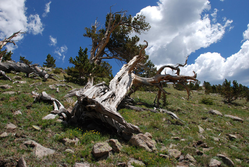 Pegmatite Peaks