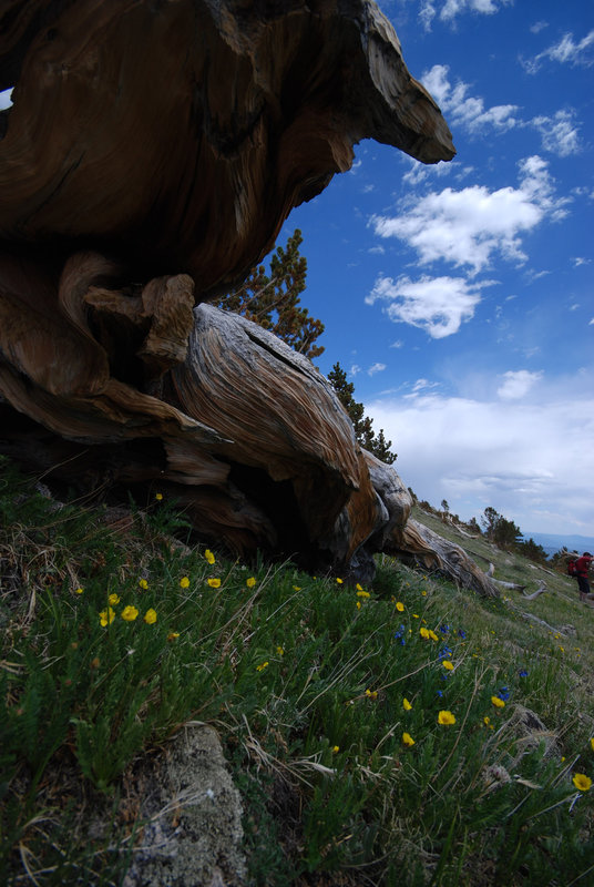 Pegmatite Peaks