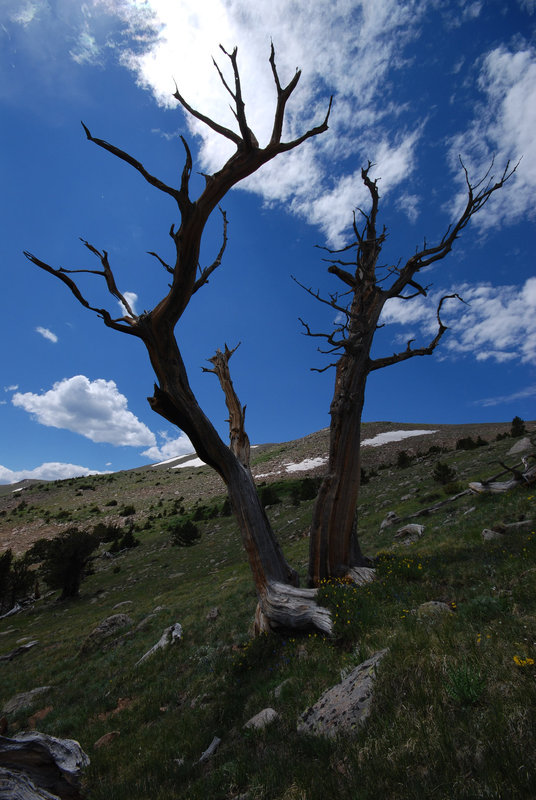 Pegmatite Peaks