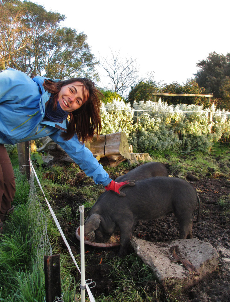 Claire and the piglets