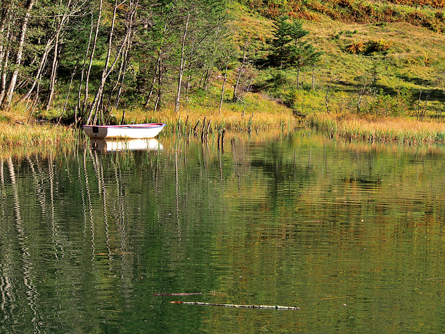 Bergsee ~