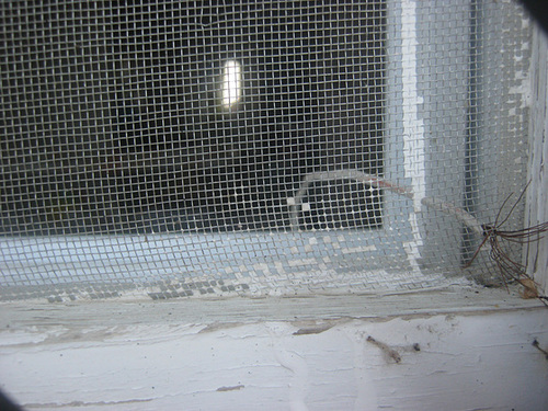 metalic mesh antenna  close up