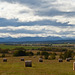 Ominous clouds after the harvest