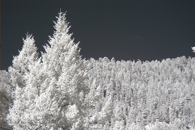 Infrared Colorado