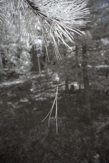 Infrared Colorado