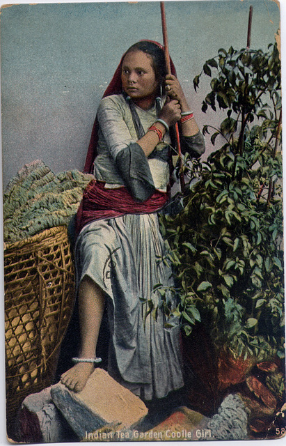 Indian tea garden coolie girl