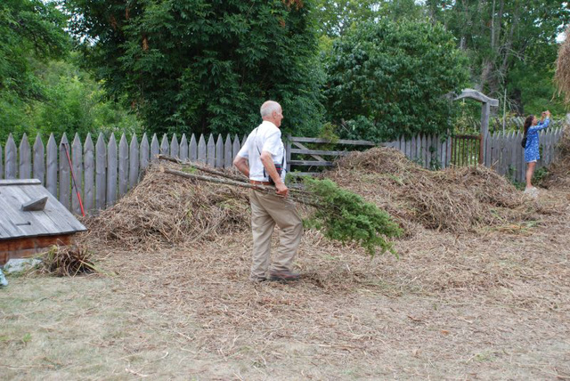 Bringing in the Trees