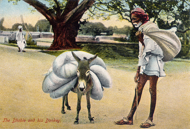 The Dhobie and his Donkey