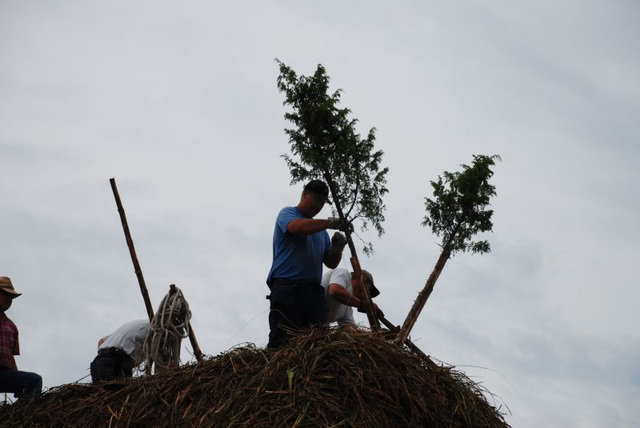 The Trees in Place