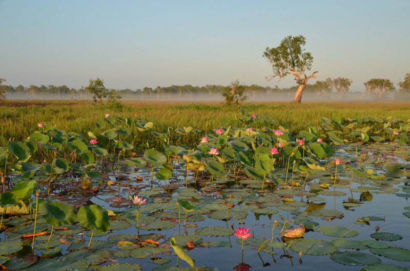 Sunrising over Kakadu