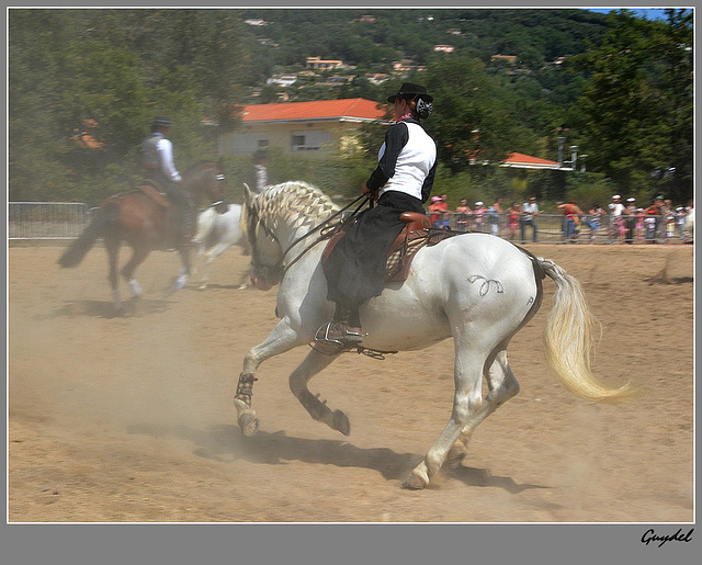 Un petit galop ...