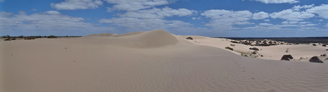 sand dunes at Vigar's Well