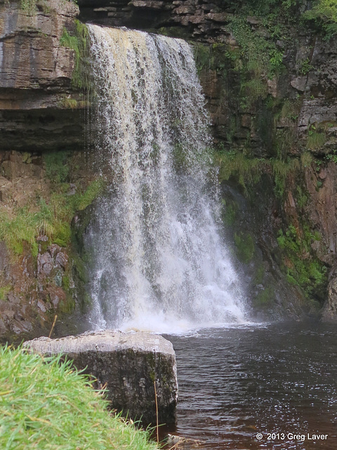 Thornton Force