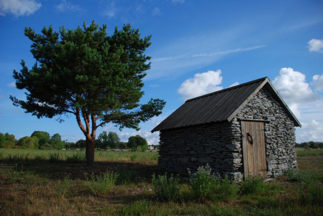 Around Nystugu Farm