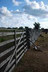 Around Nystugu Farm