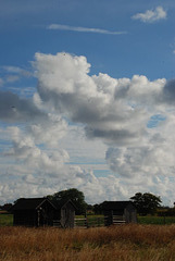 Around Nystugu Farm