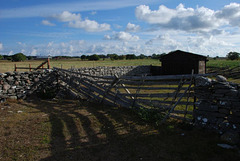 Around Nystugu Farm