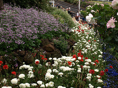 201309TmbaCarnivalRail 096